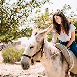 Farm stay Casas De Pedra - Quinta Da Escola *