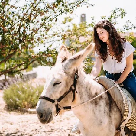 Alloggio per agriturismo Casas De Pedra - Quinta Da Escola *