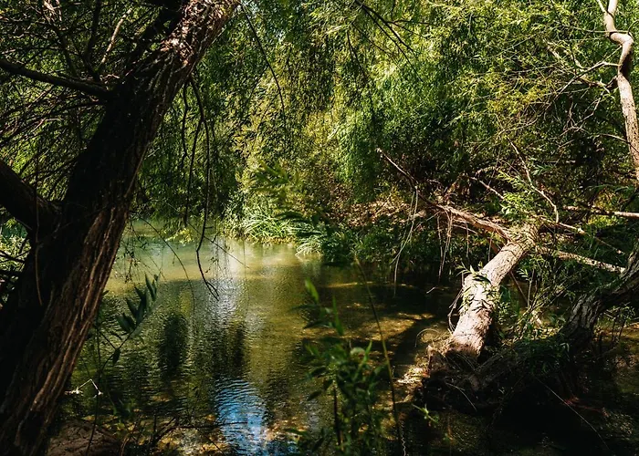 Alojamento de Turismo Rural Casas De Pedra - Quinta Da Escola Alvados