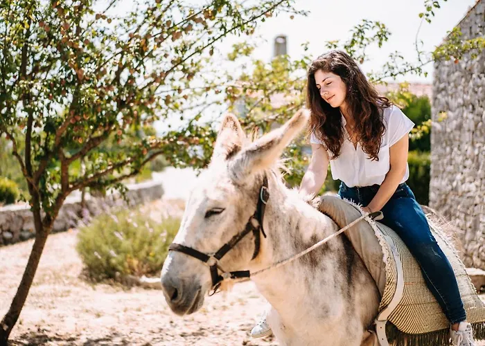 Alojamento de Turismo Rural Casas De Pedra - Quinta Da Escola *